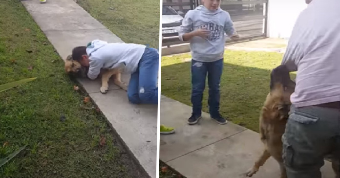 Emotivo reencuentro de un niño con su perro después de 8 meses sin verse