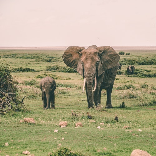 Unsplash