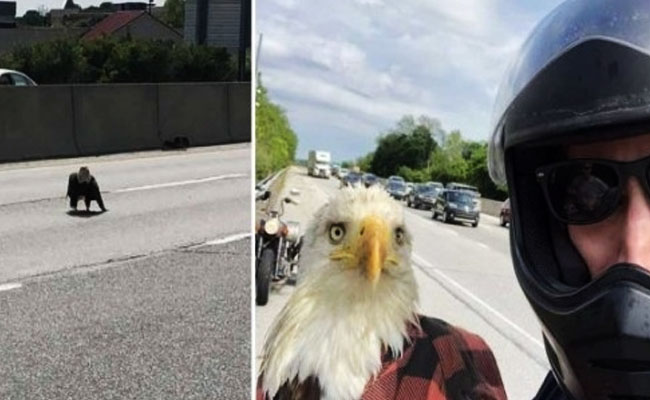 MOTOCICLISTA-AGUILA2