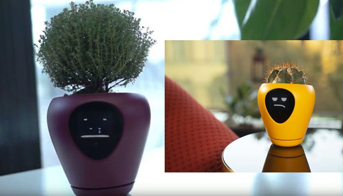 Mascotas-tipo-Tamagotchi