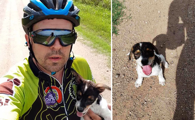 ciclista-cachorro1