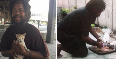 Hombre sin hogar renuncia comida para alimentar gatitos