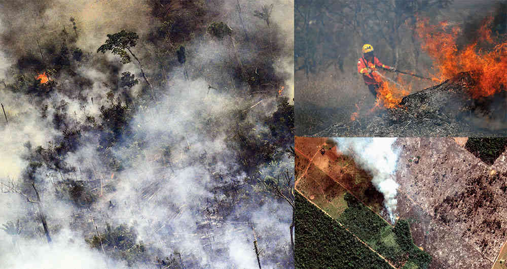 Amazonia: presidente de Brasil cede frente a la presión internacional y la tala de árboles