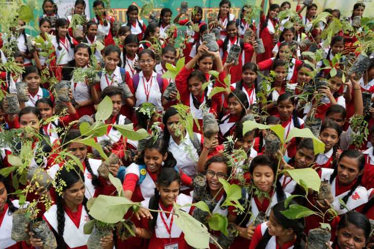 En India sembraron más de 30 millones de árboles en un solo día