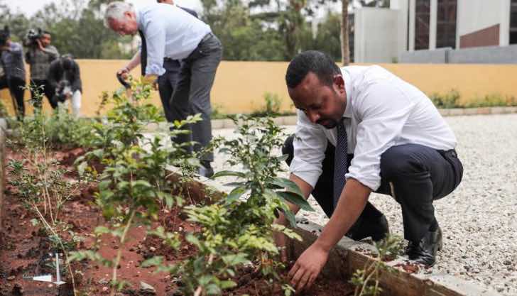 En India sembraron más de 30 millones de árboles en un solo día