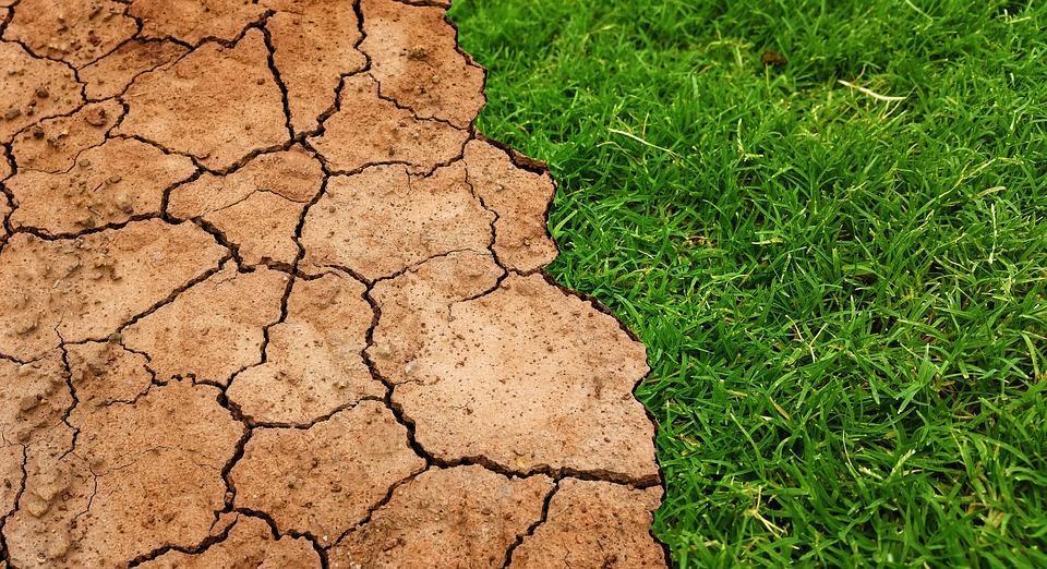 recursos naturales