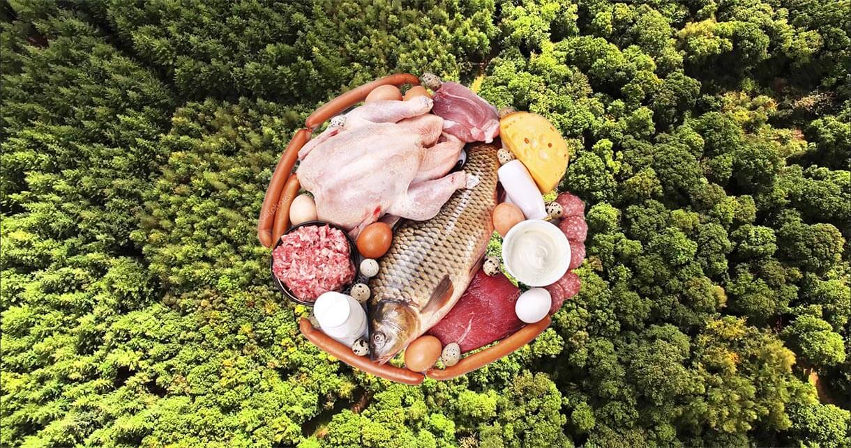 tierra