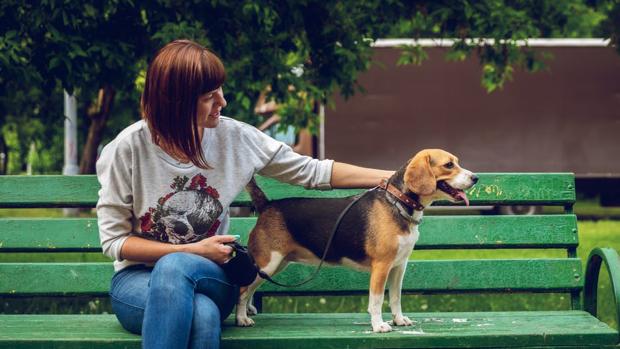 Tendencia Nueva reforma municipal en Sevilla y Andalucía podría obligar a dueños de perros a limpiar sus orines
