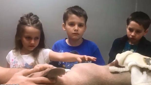 Perro salva la vida de dos niños y desgraciadamente no termina bien