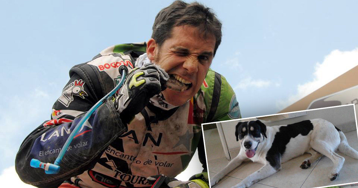 Preso piloto del Dakar por crueldad animal 22