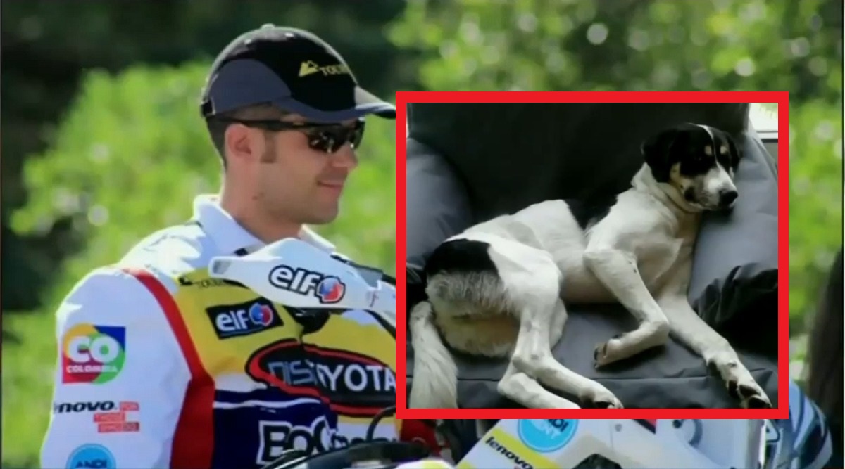 Preso piloto del Dakar por crueldad animal 22