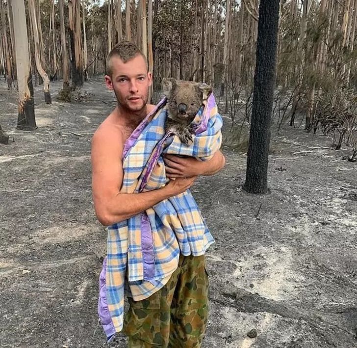 Cazador convertido en salvador de koalas en Mallacoota, Australia