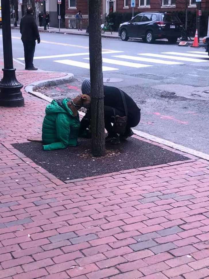 Chica en Massachusetts abriga a su perro cuando le impiden la entrada al Correo