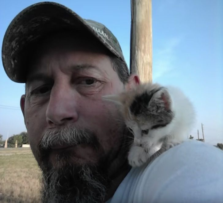 En un enternecedor acto de solidaridad un perrito invita a un gatito a refugiarse de la lluvia