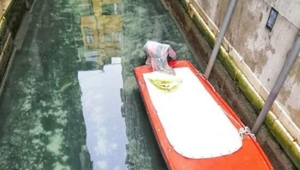 Venecia sin turistas y sin contaminación en sus aguas