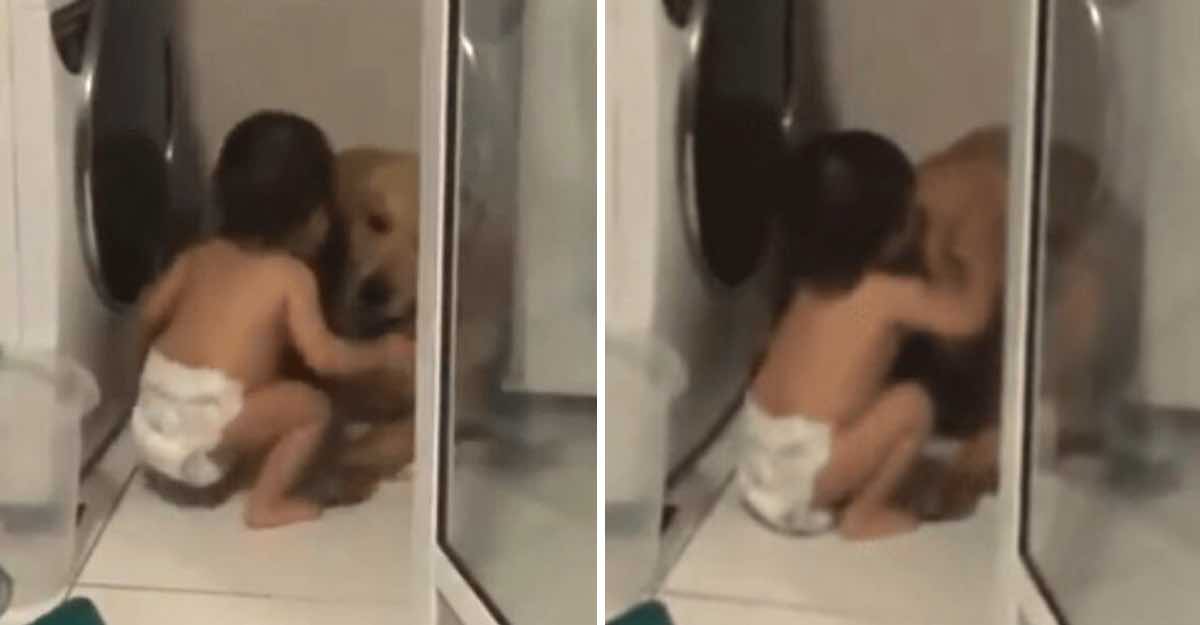 Bebé abraza a su perro para tratar de calmarlo durante una tormenta (2)