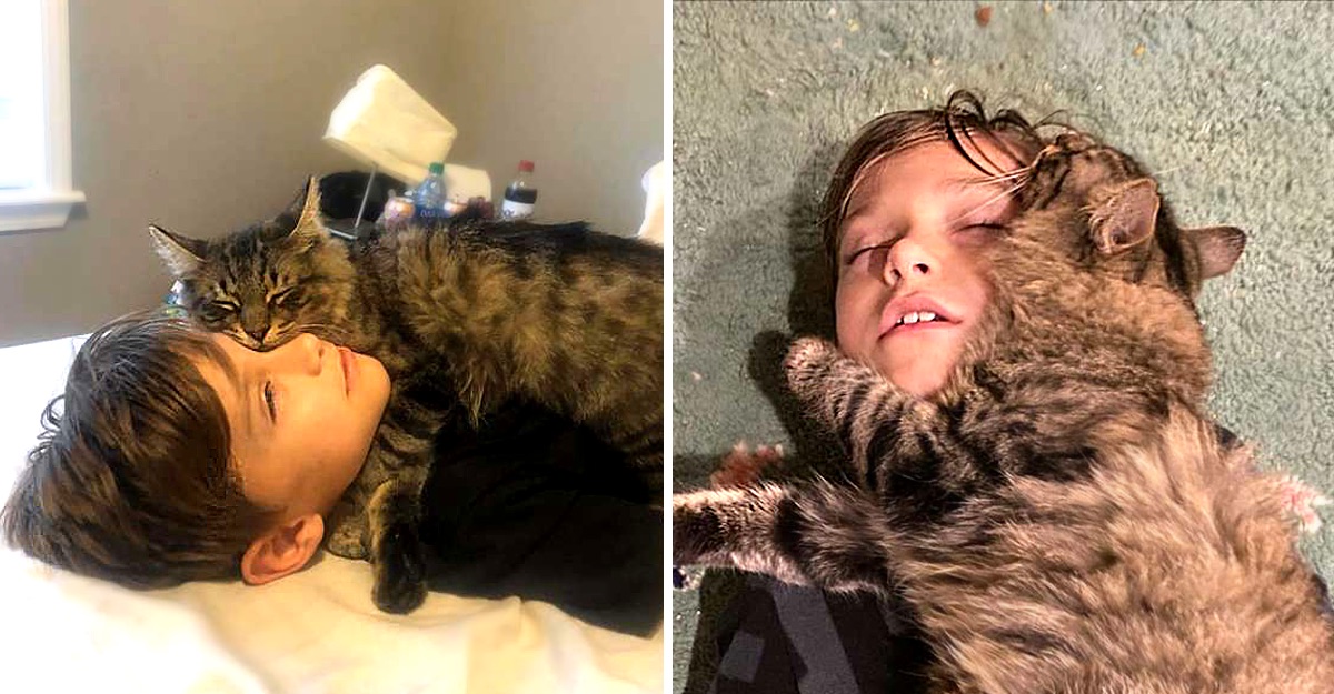 Gato quiere tanto a su humano que duerme sobre él (1) (2)
