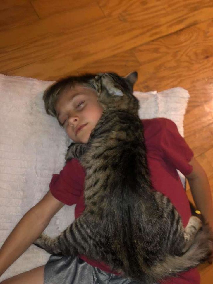 Gato quiere tanto a su humano que duerme sobre él (1) (2)