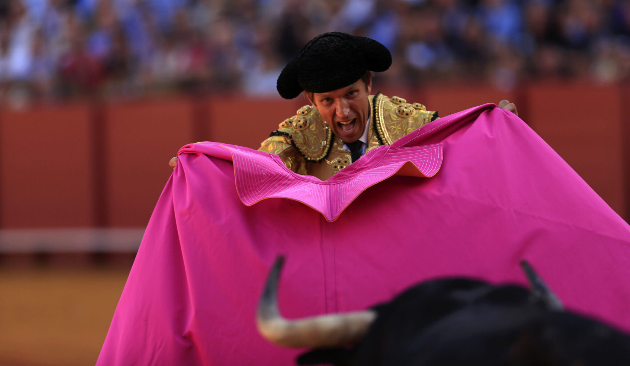 Toreros en Peligro: El sector taurino español solicita ayuda al Ministro de Cultura debido al coronavirus.