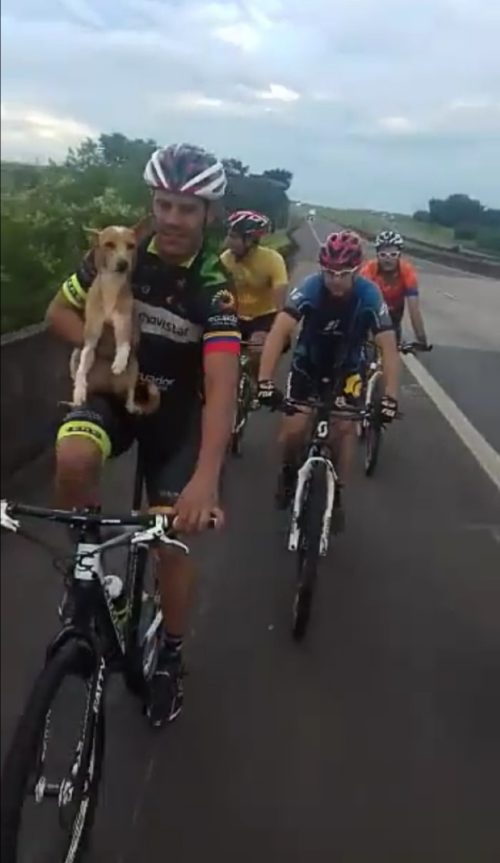 Un grupo de ciclistas paran en la vía para cambiar un neumático y poco después se dan cuenta que están acompañados