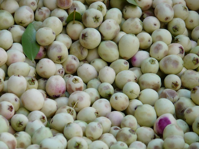 antigua aceituna blanca 2