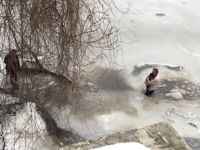¡Perro al Agua!: Hombre se zambulle en lago para rescatar a un perro extraviado.