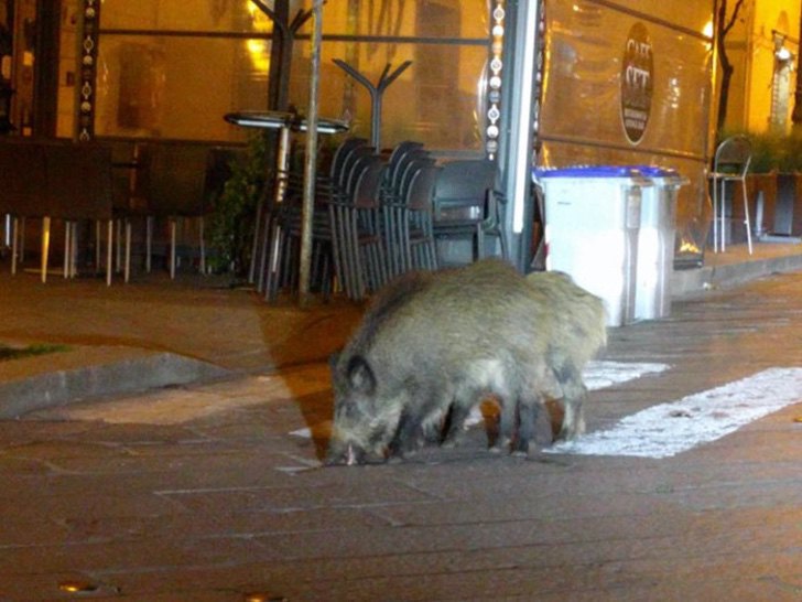 13. Una noche de paseo sin problema alguno.