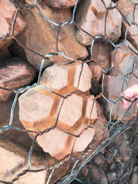 11. La forma en que las rocas a través de los años se ajustaron a la reja.