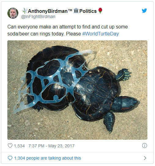 Esto es lo que les sucede a las tortugas cuando los seres humanos arrojan anillos de latas de refresco a la basura.