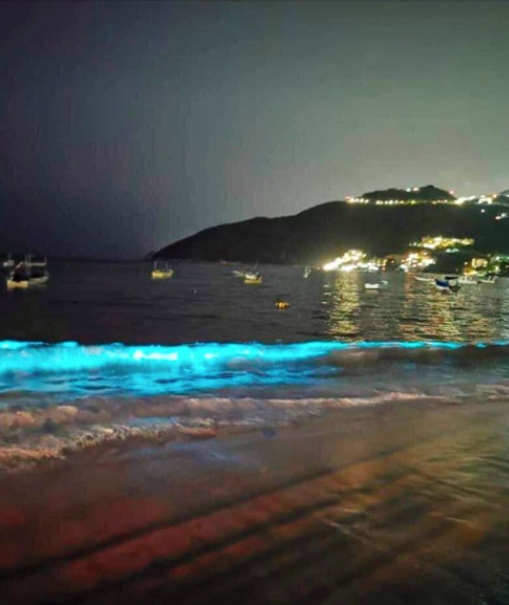 El mar ha comenzado a brillar. Esto es lo que sucede cuando las aguas de Acapulco se encuentran solas.