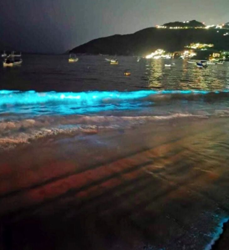 El mar ha comenzado a brillar. Esto es lo que sucede cuando las aguas de Acapulco se encuentran solas.1