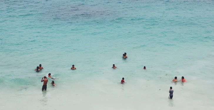 El mar ha comenzado a brillar. Esto es lo que sucede cuando las aguas de Acapulco se encuentran solas.121