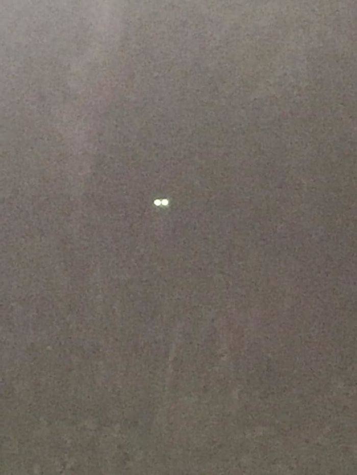 ¡Este puma estaba tan cerca que pude obtener una foto de él!