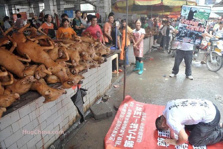 Se desnuda y encierra como un perro en forma de protesta1