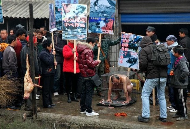 Se desnuda y encierra como un perro en forma de protesta3