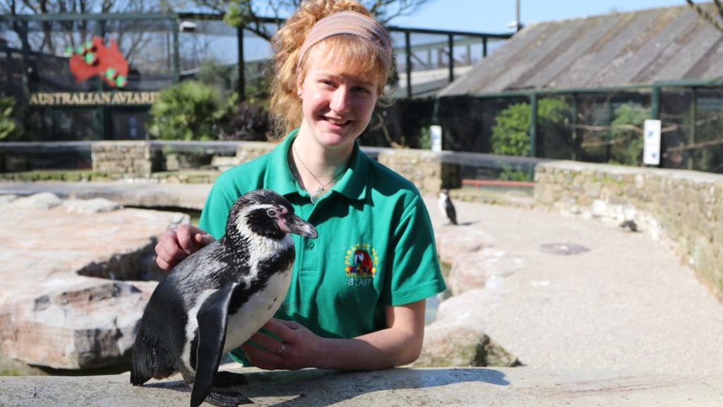 Trabajadoras pasan cuarentena en un zoológico para cuidar a los animales (2)
