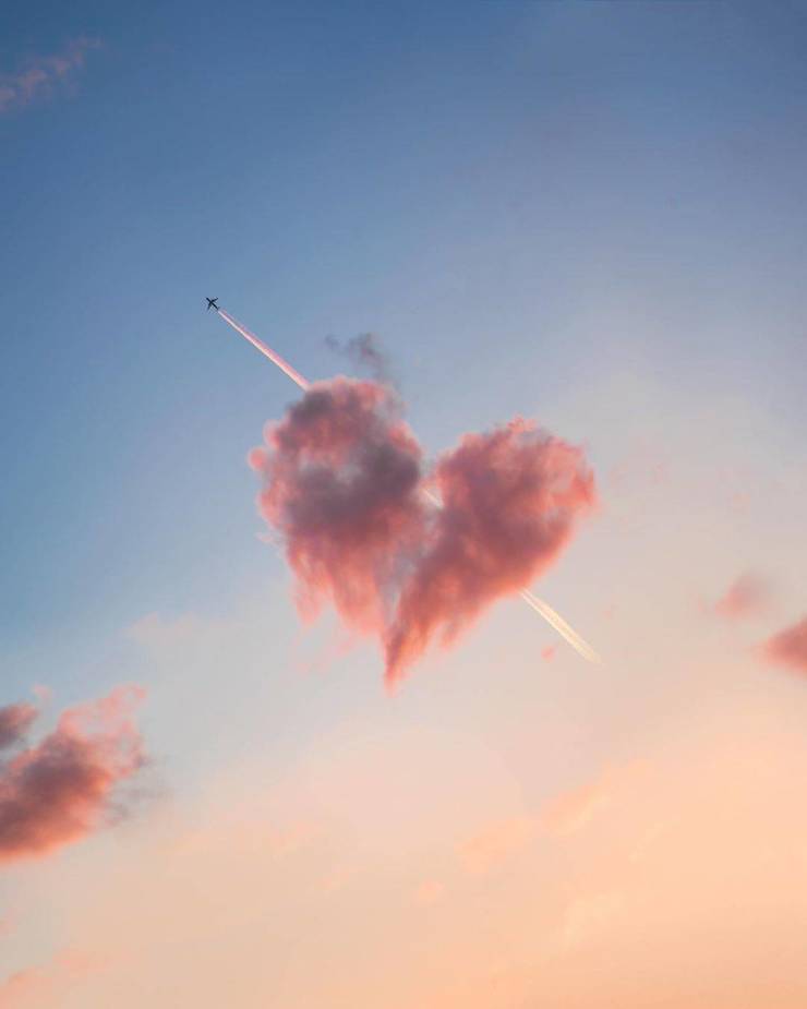 Que dulce el artista nos regaló una muestra de su amor