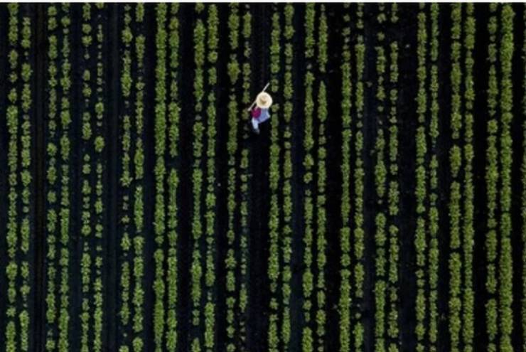 La matrix existe