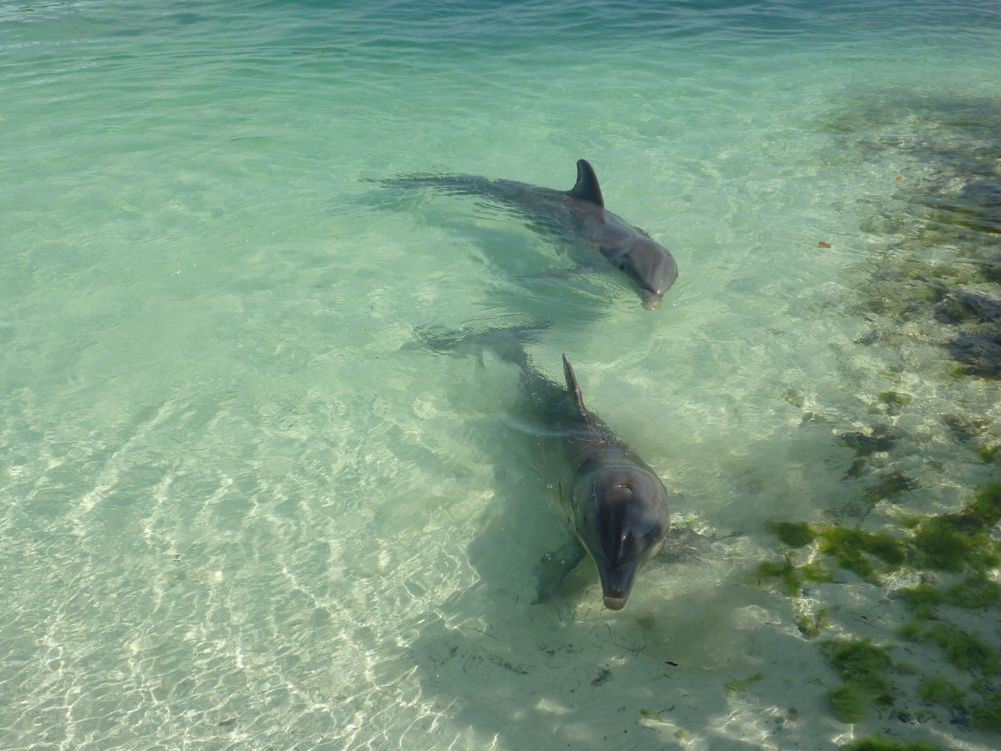zona hotelera de Holbox