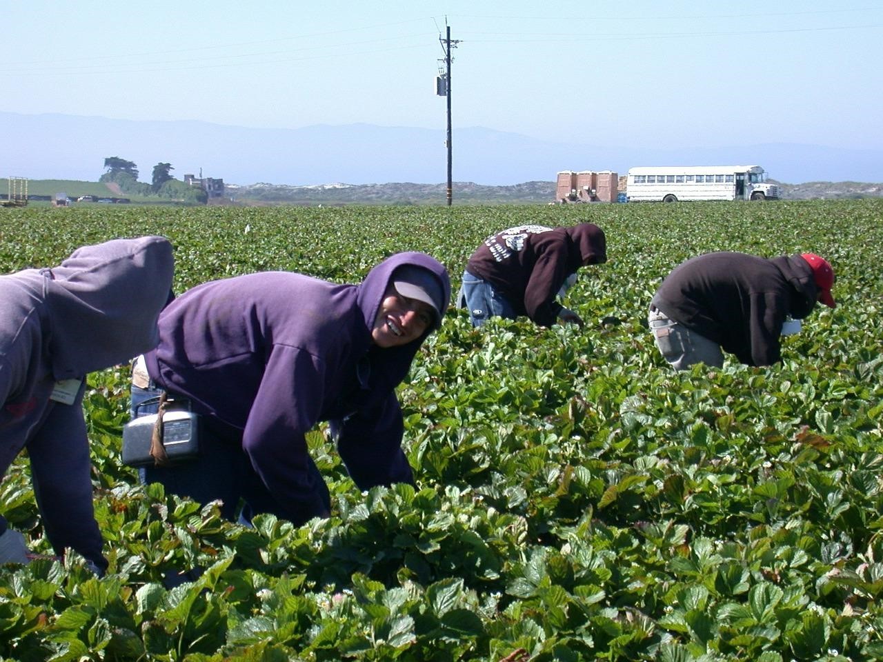 pésimas condiciones de migrantes