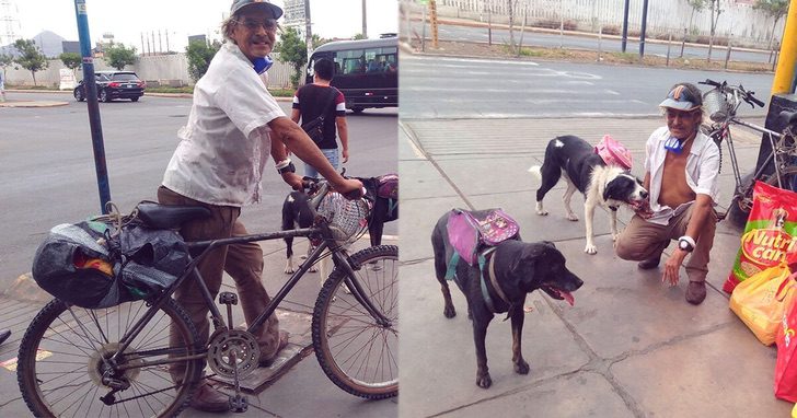 ¡ACTO HEROICO! Este señor expone su vida mientras cuida la vida de estos perritos indefensos.