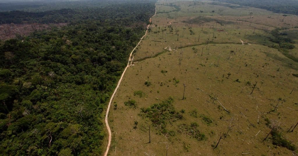 deforestar