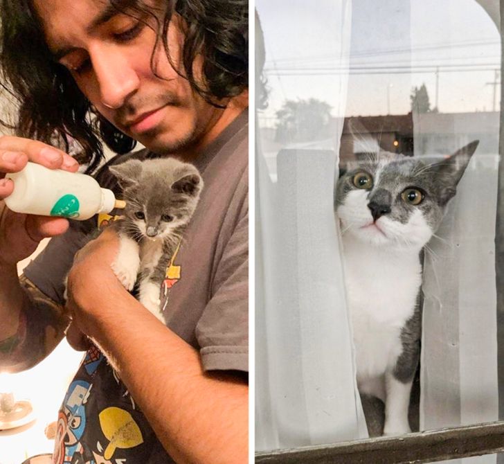 una muestra de amor
