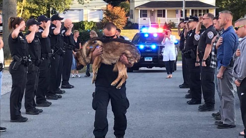 Perro policía