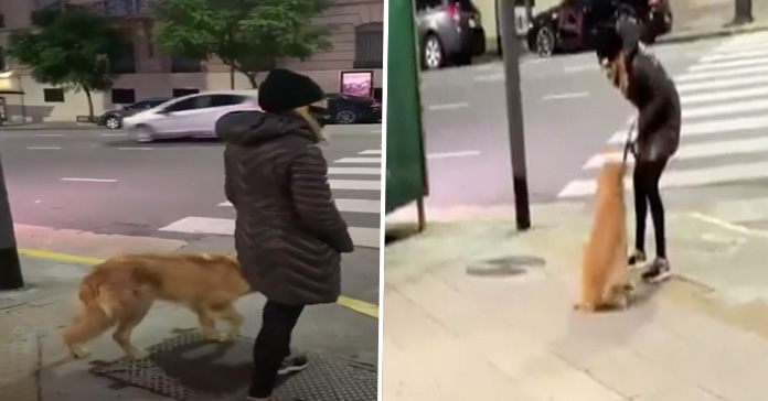 Mujer lastima animal Argentina