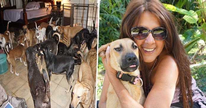 Mujer rescata a 97 perros huracan Dorion