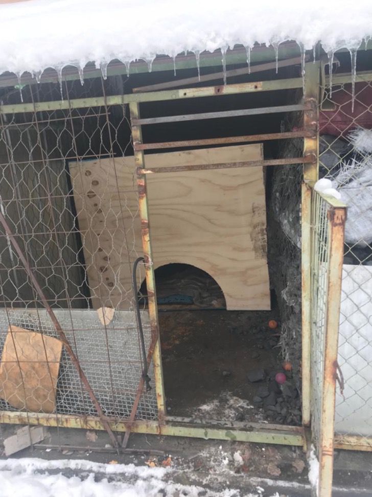 Soldados en Chile construye casas para perros