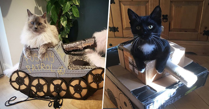Tanques juguetes para gatos