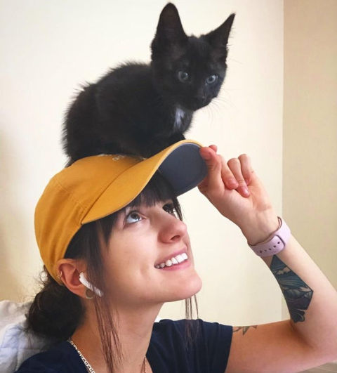imágenes de gatitos