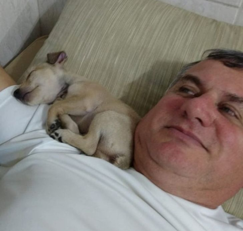 amantes de las selfies